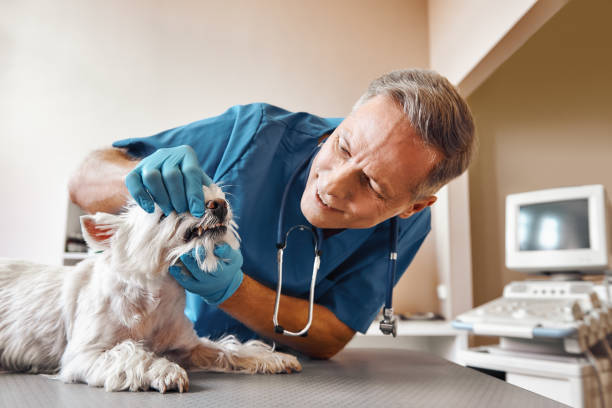 Best Root Canal Emergency Dentist  in Morrow, GA